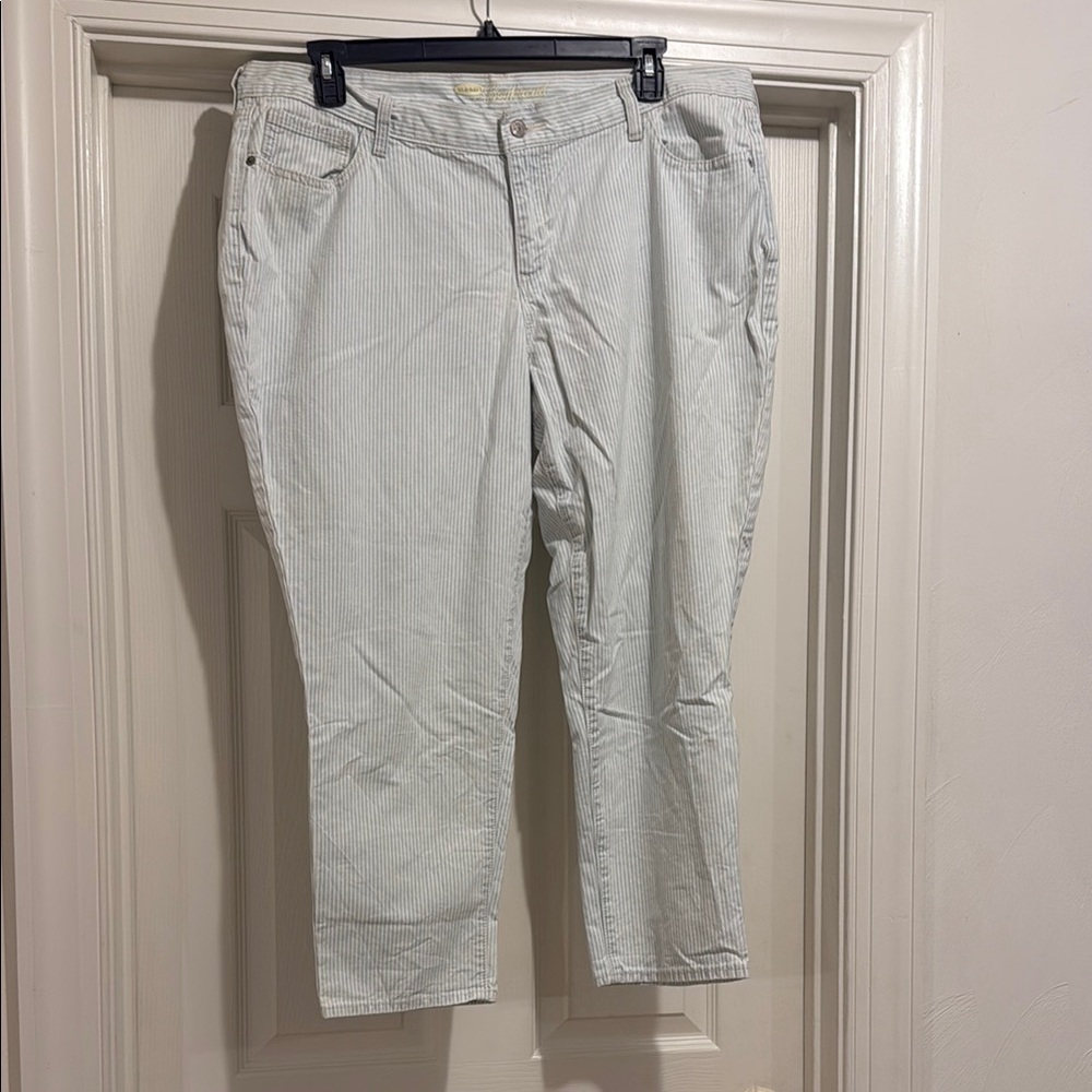 Old Navy Blue Ankle Cropped Jeans